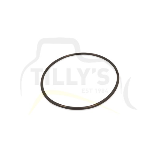 SEAL - O RING