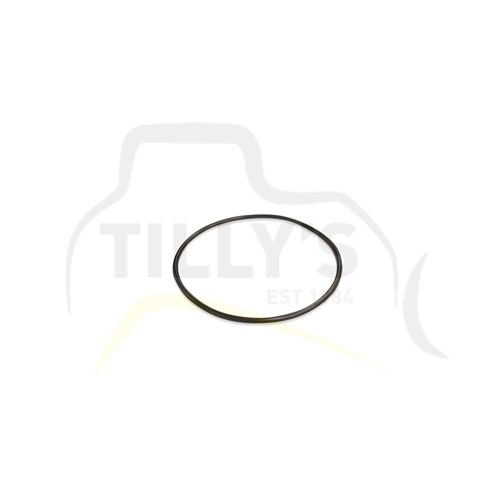 SEAL - O RING