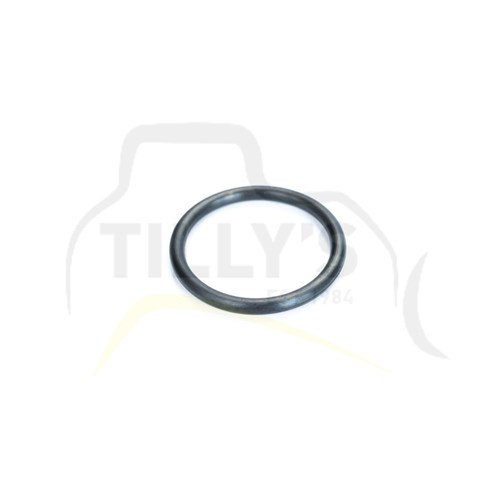 SEAL - O RING