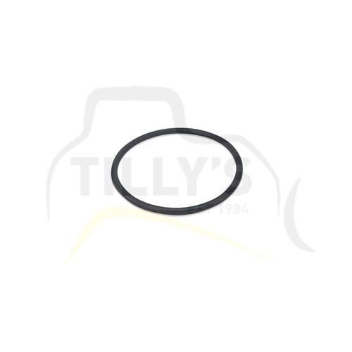 SEAL - O RING