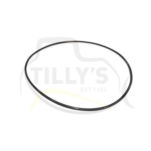 SEAL - O RING