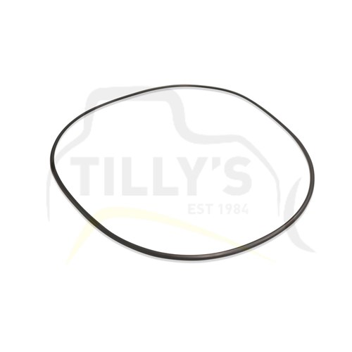 SEAL - O RING