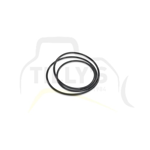 SEAL - O RING
