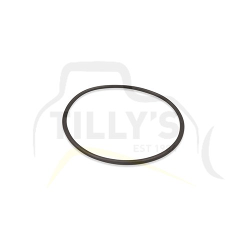 SEAL - O RING SERVO VALVE