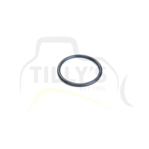SEAL - O RING