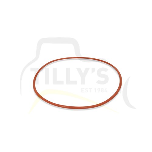 SEAL - O RING FILTER T/CONV