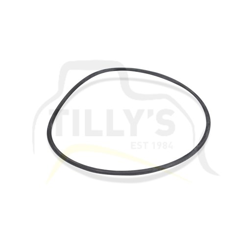 SEAL - O RING HYD PUMP MNT