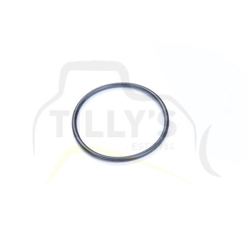 SEAL - O RING