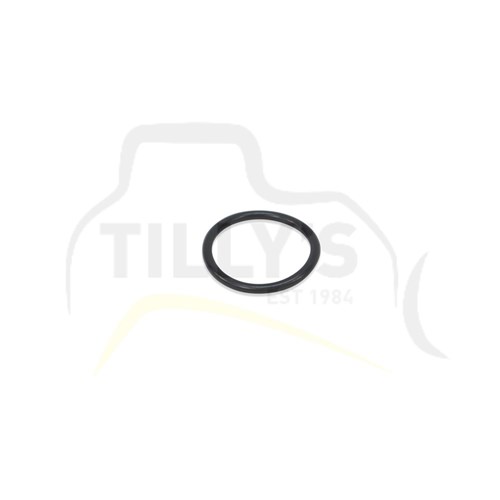 SEAL - O RING SENSOR RAD