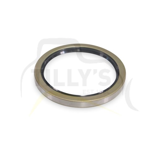 SEAL - LIP TYPE