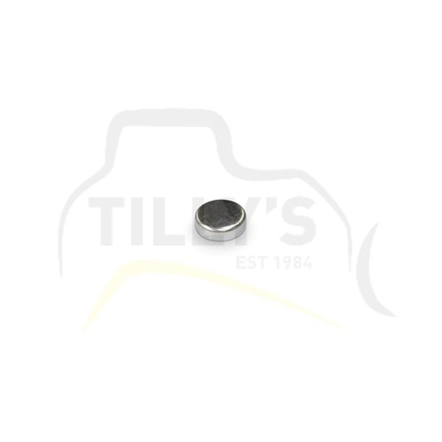 PLUG - 25MM CUP TYPE