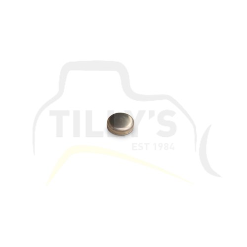 PLUG - 25MM CUP TYPE