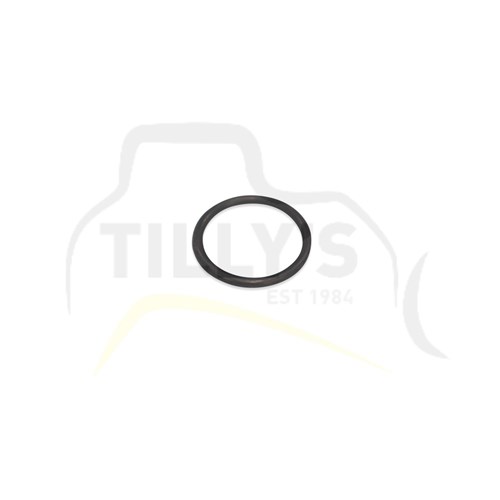 ORING - OIL PICK UP TUBE 3046