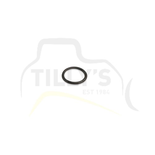 SEAL - O RING