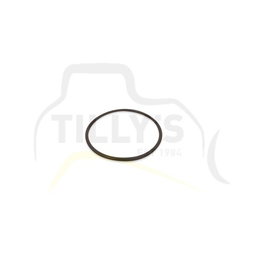 SEAL - O RING