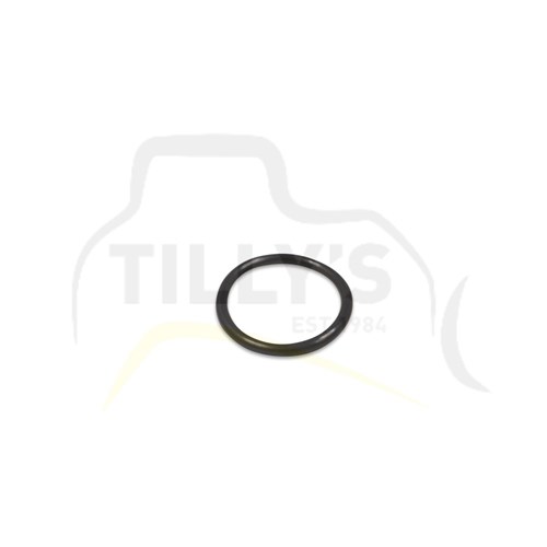SEAL - O RING