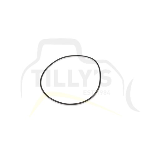 SEAL - O RING 307 BLADE LIFT