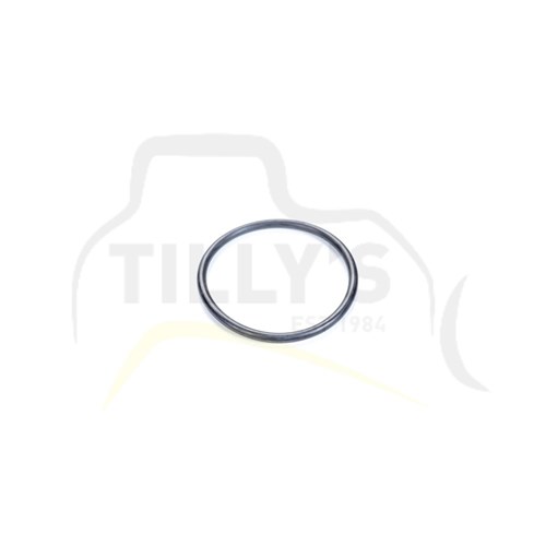 SEAL - O RING