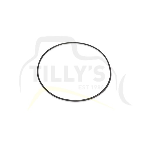 SEAL-  O RING