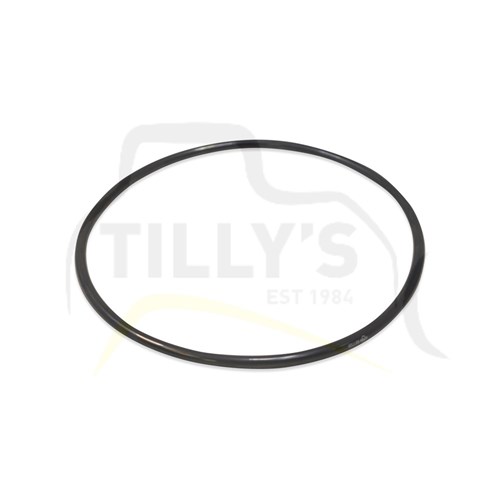 SEAL - O RING HYD DIPPER