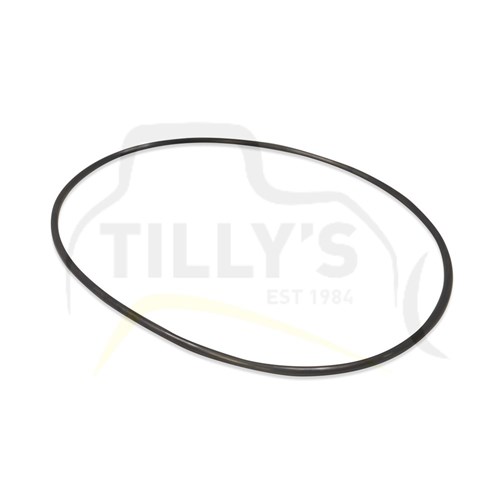 SEAL - O RING HYD TANK