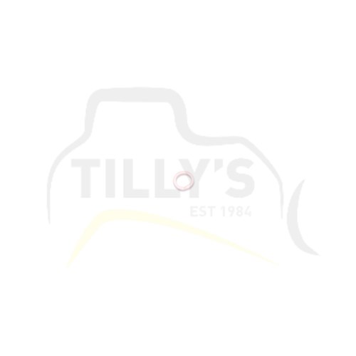 SEAL - RING BACK UP FINAL DR