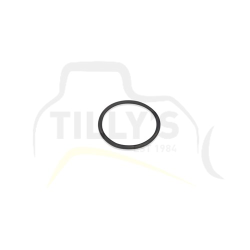 SEAL - O RING 320L
