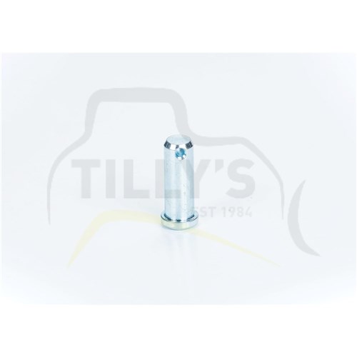 PIN - CLEVIS