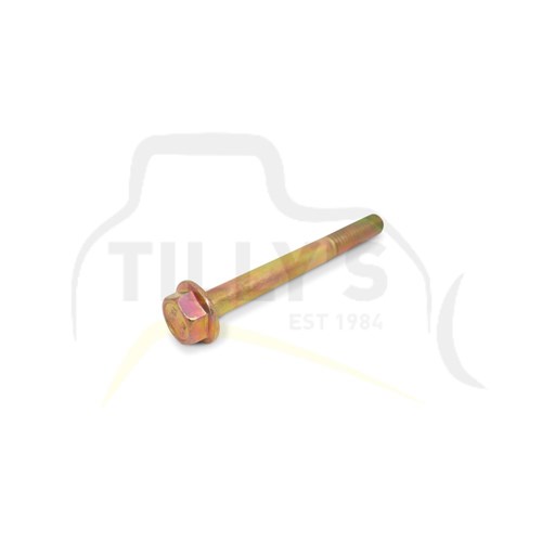 BOLT - FLANGE HEAD