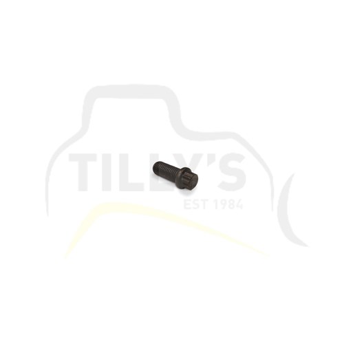 BOLT - 12 PT HEAD  19MM LONG