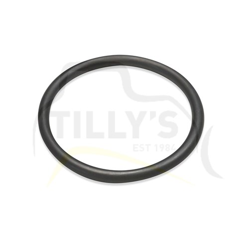 SEAL - O RING