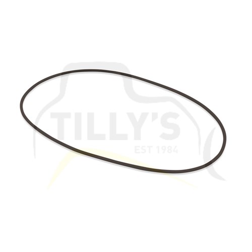 SEAL - O RING FILTER GRP