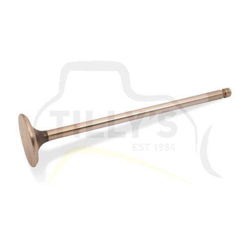 VALVE - EXHAUST 3116 3126