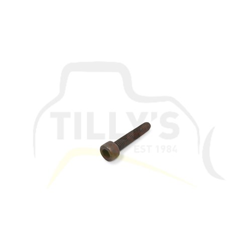 BOLT - SOCKET HEX  M10 X 30MM