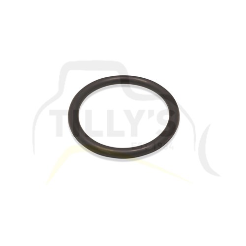 SEAL - O RING