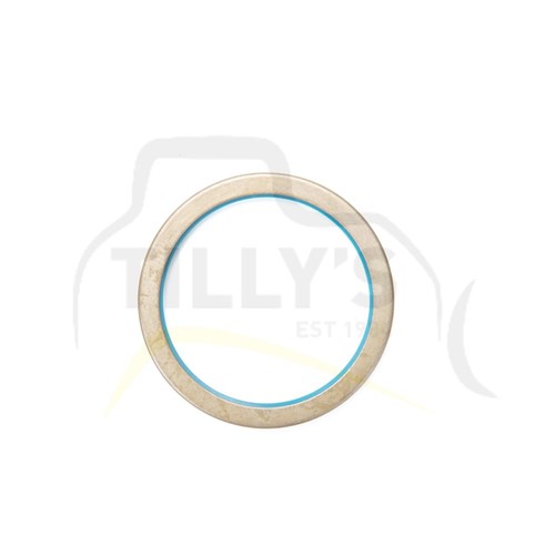 GASKET - GOVERNOR 3306 12G
