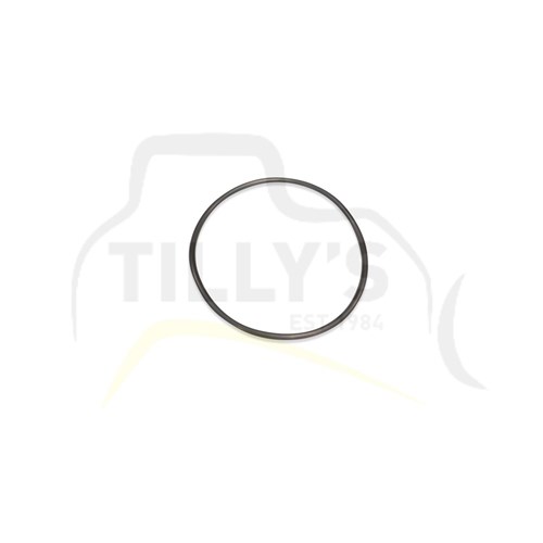 SEAL - O RING F/PUMP