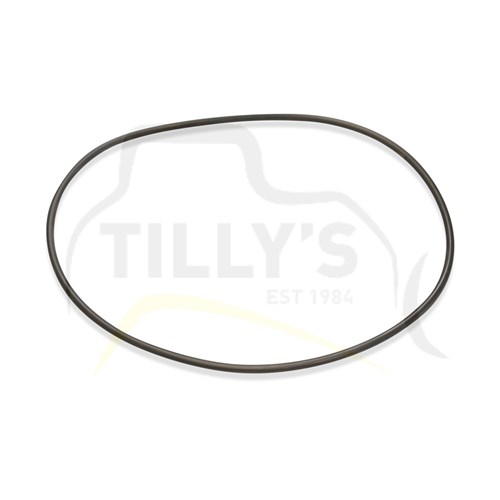 SEAL - O RING