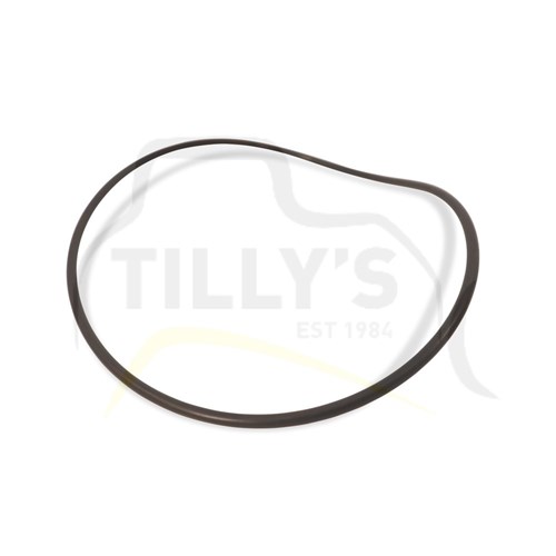SEAL - O RING