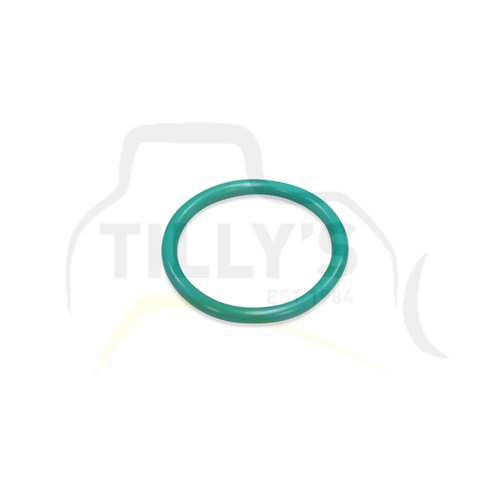 SEAL - O RING FUEL SYS