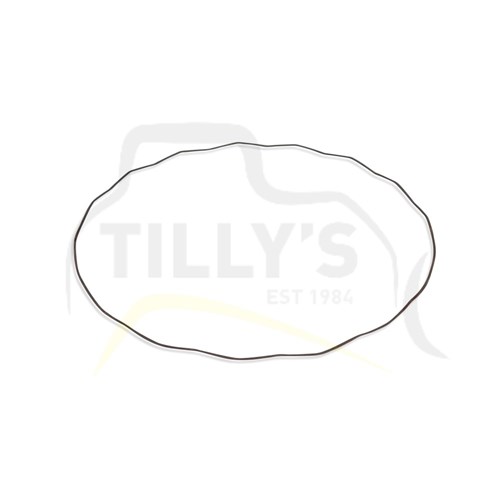 SPRING - TRANS D155