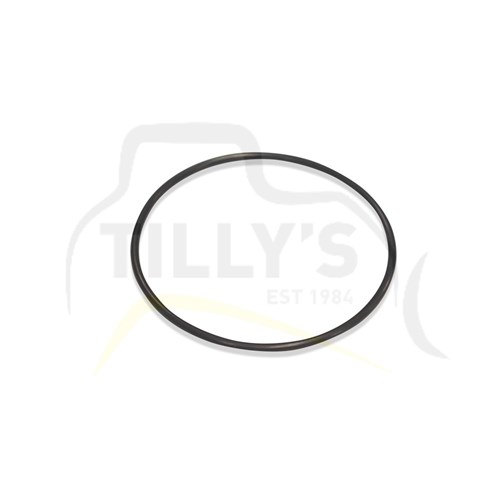 SEAL - O RING