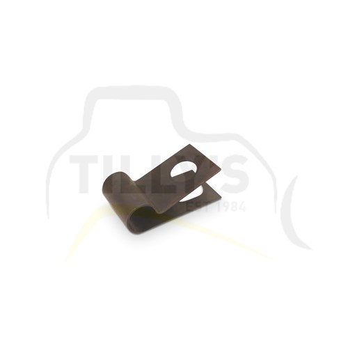 CLIP