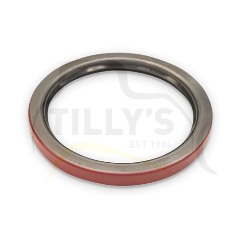 SEAL - LIP TYPE