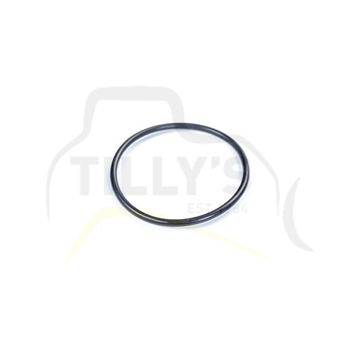 SEAL - O RING