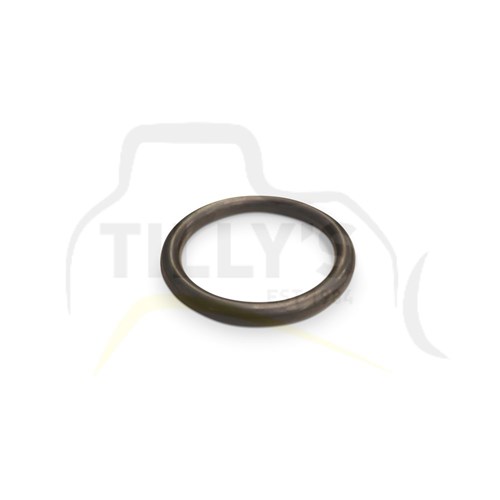SEAL - O RING