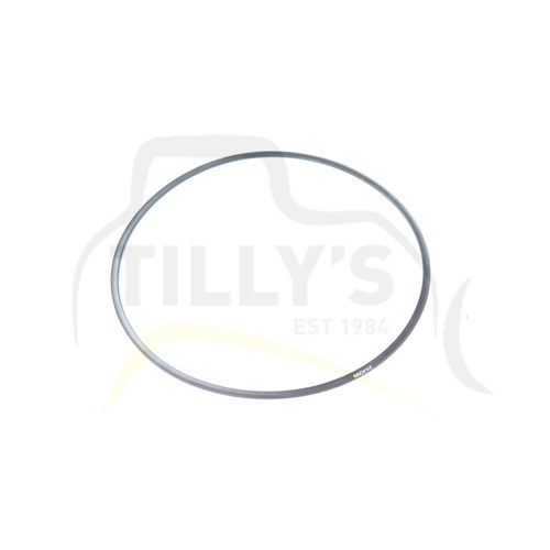 SEAL - O RING