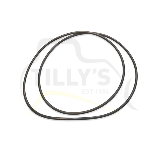 SEAL - O RING