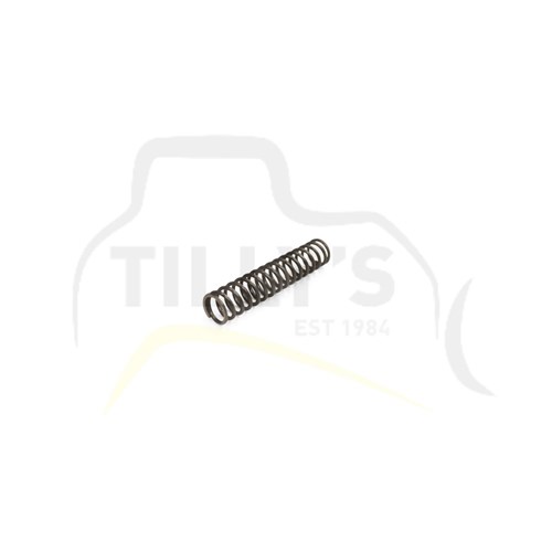 SPRING - FILTER GRP