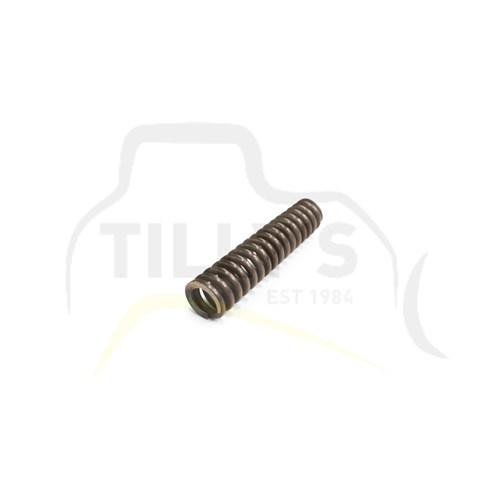SPRING - PUMP OIL ENGINE